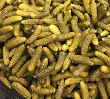 Ghekrins in Drums Processing Stage Semi Processed Processing Method Vinegar And - Rehoboth Nature Fine Foods Pvt Ltd - India
