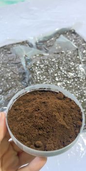 Vanilla Powder high quality from Langit Nusa Internasional Vanilla Powder high quality - Langit Nusa Internasional - Indonesia