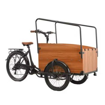 3 Wheel Electric 250W Cargo Kids Bike Dutch Electric Family Cargo Bike - Ningbo Freeman Technology Co., Ltd. - China