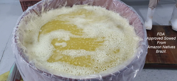 ORGANIC RAW PINEAPPLE PULP Form Frozen Pulpy Purity 100% Organic Place of Origin Brazil Certifications Fda Approved Shelf Life Delivered In 50 Days - USBOXS COMPANY LLC - United States