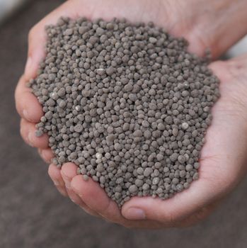 Agricultural Grade DAP Fertilizer 18-46-0 Diammonium Phosphate CAS 2 Slow Release Powder High-quality for Vegetables Wholesale - Carla Pisselli Commercio - Brazil