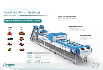 Sorting machiine for small size fruits Type sorting machine, grading machine, calibration machine Customization Designed According To Customer's Factory Area - Kepler Sorting - China