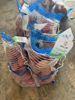 Pakistan Fresh Potatoes Mozika Red Yellow, FOB Karachi - ARDLINK (SMC-PVT) LTD - Pakistan