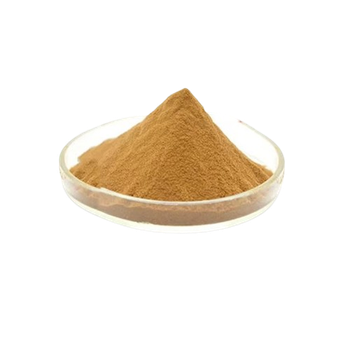 Ginkgo Biloba Extract Origin India Product Type Other Features Gluten-Free - SHREE SAI BIOTECH - India