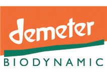 Product – product photo, Fresh Spaghetti Pasta products found from trusted suppliers, wholesalers, manufacturers & exporters Listing