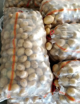 New Harvest Yellow/Golden Potatoes Best Cooking Potatoes For Restaurants,Grocery retailers in 25kg Bags - Sosa Merchant Solutions - Austria