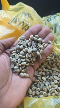 SUGAR ICUMSA 45 Origin Worldwide – product photo, Sugar products found from trusted suppliers, wholesalers, manufacturers & exporters Listing