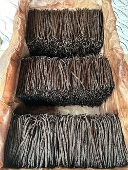 Vanilla Bean Gourmet from Indonesia Plantation - cv hanjaya teknologi indonesia - Indonesia