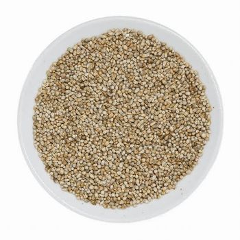 Pearl Millet Origin India Features Organic Product Type Cereals & Cereal Products - BS Trading - India