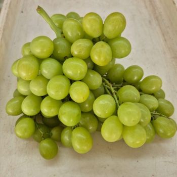 Premium Table Grapes for Exporter in South Africa! CLASS 1 Export Quality! NEW CROPS!! from NINE FRUITS EXPORTS (PTY) LTD Premium Table Grapes for Exporter in South Africa! CLASS 1 Export Quality! NEW CROPS!! - NINE FRUITS EXPORTS (PTY) LTD - South Africa
