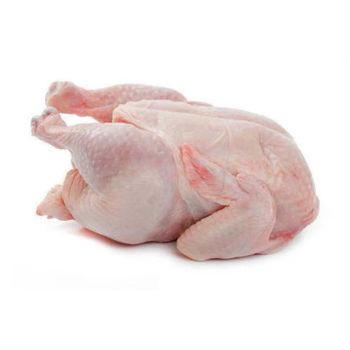 Wholesale frozen whole chicken -  DAEWKAEW PANTAMANG Co., Ltd - Thailand