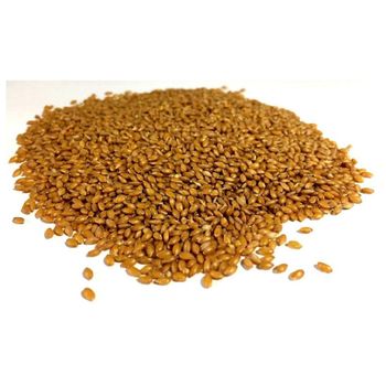 Bulk canary seeds wholesale supply at competitive cheap prices - MASI TRADING GMBH - Germany