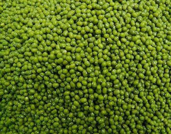 Organic Green Mung Beans For Export from HELBER AGRO PRODUCT COMPANY LTD Organic Green Mung Beans For Export - HELBER AGRO PRODUCT COMPANY LTD - Kenya