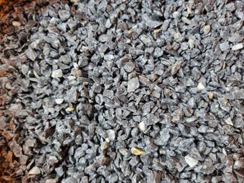 Black limestone gravels, 6 mm Form Chips Thickness 6 mm Packaging Size 50kg Stone Type Limestone Color Black Lime, Gray Application Aquariums, Landscaping Pathways, Water Filtration - Inflorescence Garden Services LLP - India