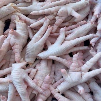 Wholesale Supplier of Natural Quality Halal Frozen Chicken Feet | Frozen Chicken Paws Bulk Quantity Ready For Export - TRADECENTRIC LLC - United States