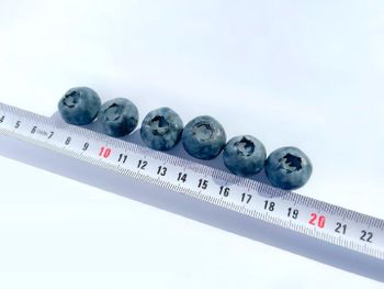 Blueberries – Fresh Premium from Northern Morocco - Musfruits - Morocco
