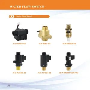 Water Flow Switch Gas Water Heater Accessories Flow Switch for Gas Boiler - Wenzhou Bingo Imp. & Exp. Co., Ltd. - China