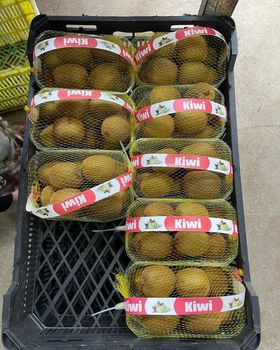 Kiwi - Qolipoor trading - Iran