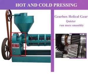 Macadamia Tiger Nut Hydraulic Palm Coconut Oil Press 270kg/H - Sichuan Guangxin Machinery of Grain & Oil Processing Co., Ltd. - China