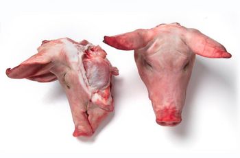 Frozen Pork Head - Industrias Carniças Montronill SAU - Spain