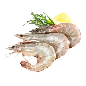 Seafood (Shrimp, Squid, Oysters, Tilapia, Crab, Lobster) Type Fresh / Frozen Products Mixed seafood Packaging Export standard - Smart Agri GmbH - Germany