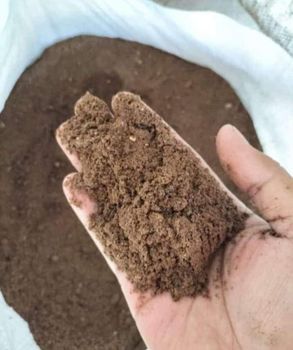 Palm Kernel Expeller from PT. TRANS OTO TECH Palm Kernel Expeller – product photo, Palm Kernel Charcoal products found from trusted suppliers, wholesalers, manufacturers & exporters Listing