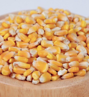 Cheap Dried Yellow Corn Online/ Dry Corn / Buy Dried Corn Maize/ Maize Yellow Corn Manufacturers / Non-GMO Dried Corn from Almaa SCS Cheap Dried Yellow Corn Online/ Dry Corn / Buy Dried Corn Maize/ Maize Yellow Corn Manufacturers / Non-GMO Dried Corn - Almaa SCS - Belgium
