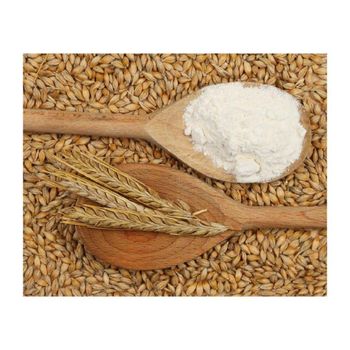Barley flour prepared for bulk purchase with competitive wholesale pricing - Mundus Exports Pty Ltd - South Africa