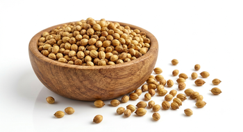 Coriander Seed Origin India Features Organic Product Type Spices - Pursuit Industries Pvt. Ltd. - India