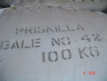 Kapok fiber - CV. Priskilla - Indonesia