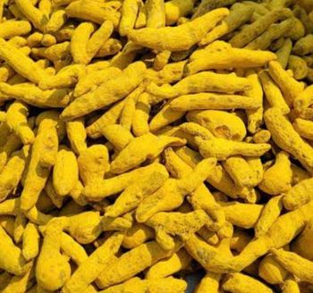 Turmeric fingers - Topnotch Impex - India