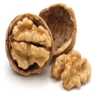 Organic Walnuts Light Quarters/Broken whole Walnuts (Shell And Without Shell) - Smart Agri GmbH - Germany