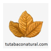 Product – product photo, Cocoa Seed products found from trusted suppliers, wholesalers, manufacturers & exporters Listing