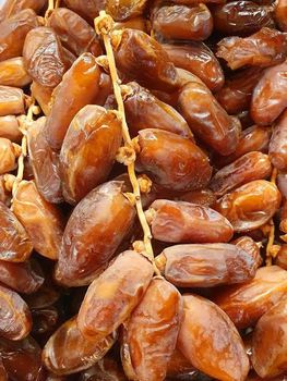Deglet nour - Mehena louai - Algeria