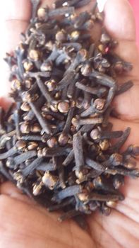 Cloves - IGAA EXPORTS COMPANYN LIMITED - Tanzania