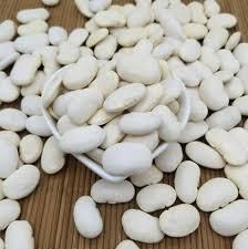 White Kidney Beans Long Shape Packaging 50KG Admixture Level 0.5% Max Moisture Content 14% Max Place of Origin THAILAND - Thai Agri Company - Thailand