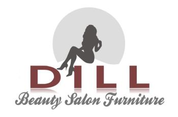 Product - Dill Beauty Salon Furnitur Factory - China