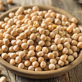 Yellow Pea - AVS ENTERPRISES - India