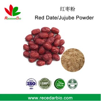 Spray Drying Water Soluble Fruit Powder Red Date Jujube Powder - Wuhan Recedar Biotechnology Co., Ltd. - China