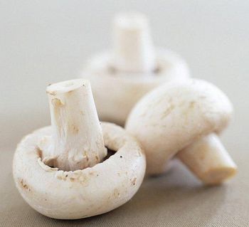 white mushroom Shape Rod Size 5-6 cm Color White Style FROZEN Brand Name Vdelta Certification ISO Type Oyster Mushroom Shelf Life 12 - VIET D.E.L.T.A INDUSTRIAL CO., LTD - Vietnam