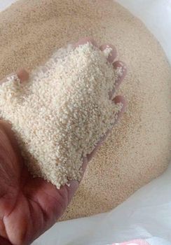 Hulled sesame seed from JAC SEEDS & OIL TRADING (PTY) LTD Hulled sesame seed - JAC SEEDS & OIL TRADING (PTY) LTD - South Africa