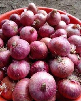 Onions,fresh ginger,fresh garlic from Etswatson Onions,fresh ginger,fresh garlic - Etswatson - Cameroon