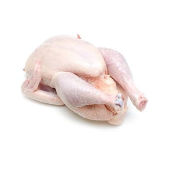 Premium Supplier Halal Frozen Whole Chicken Halal Chicken Processed Meat from Brazil - N.G westen holding B.V - Netherlands