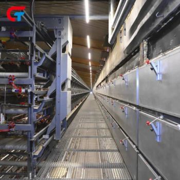 Chicken Multi Layer Automatic Manure Cleaning Feeding Poultry Farm Cage - Wulian Changtai Intelligent Technology Co.. Ltd. - China