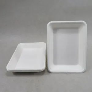 Disposable Impression Tray Fruit and Vegetable Packaging Trays - Laizhou Guoliang Packing Products Co., Ltd. - China