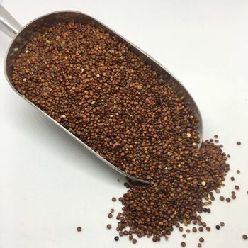 Red Quinoa Grains With Distinct Texture And Balanced Nutrition For Food Service Ingredient And Export Demand - TOSOH INTERNATIONAL - South Africa