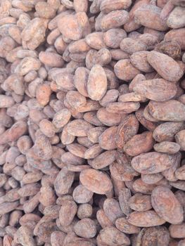 Cocoa Beans – product photo, Fermented Cocoa Beans products found from trusted suppliers, wholesalers, manufacturers & exporters Listing