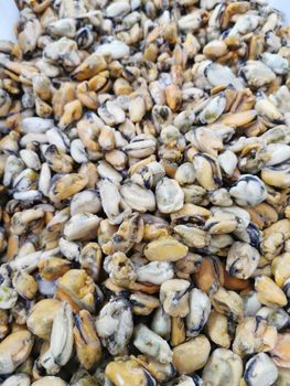 FROZEN MUSSEL MEAT Packing Specification 1kg/bag, 10kg/ctn Particle Size Distribution 100-200 Pcs/kg Before Ice, 60-80 Pcs/kg Before - BEST SEAFOOD LIMITED - China
