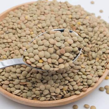 Green Lentils/ Red Lentils /yellow Lentils for Export - GIFEX AGRO TANANZIA LIMITED - Tanzania