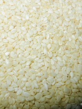 Indian Origin Natural White Sesame Seeds, Hulled Sesame Seeds Sortex Cleaned - MAC AGRI EXPORTS - India